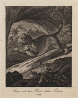 KG 01074
          <br/>
          Entwurf einiger Thiere. Zweyter Theil. (20 bladen)
          <br/>
          <em>Ridinger, Johann Elias (1698-1767)</em>